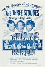 Watch Rumpus in the Harem M4ufreemovies