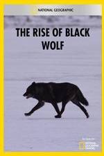 Watch The Rise of Black Wolf M4ufreemovies