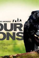 Watch Four Lions M4ufreemovies