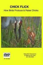 Watch Chick Flick How Birds Produce and Raise Chicks M4ufreemovies