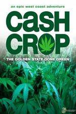 Watch Cash Crop M4ufreemovies