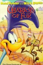 Watch Ready Woolen and Able M4ufreemovies