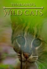 Watch Thailand's Wild Cats M4ufreemovies