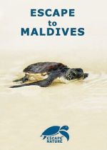 Watch Escape to Maldives M4ufreemovies