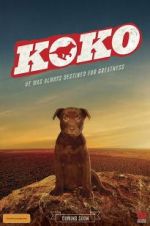 Watch Koko: A Red Dog Story M4ufreemovies