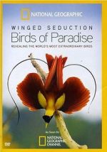 Watch Winged Seduction: Birds of Paradise M4ufreemovies