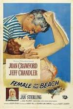 Watch Female on the Beach M4ufreemovies