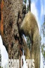 Watch National Geographic Wild Amazon Claws M4ufreemovies