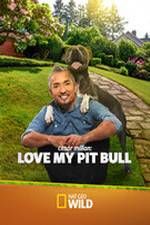 Watch Cesar Millan: Love My Pit Bull M4ufreemovies