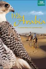 Watch Wild Arabia M4ufreemovies