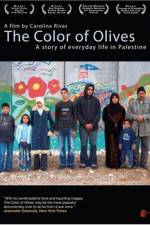 Watch The Color of Olives M4ufreemovies