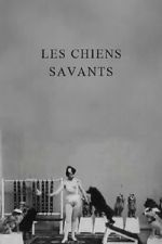 Watch Les chiens savants M4ufreemovies