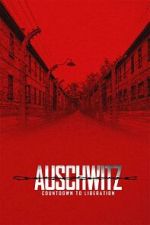 Watch Auschwitz: Countdown to Liberation M4ufreemovies