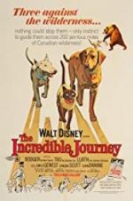 Watch The Incredible Journey M4ufreemovies