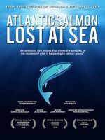 Watch Atlantic Salmon: Lost at Sea M4ufreemovies