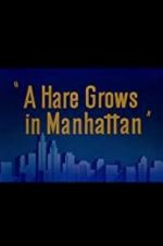 Watch A Hare Grows in Manhattan M4ufreemovies