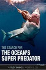 Watch The Search for the Oceans Super Predator M4ufreemovies