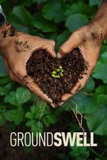 Watch Groundswell M4ufreemovies