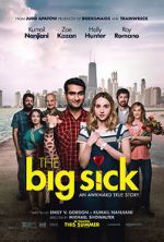 Watch The Big Sick M4ufreemovies