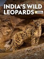 Watch India\'s Wild Leopards (Short 2020) M4ufreemovies