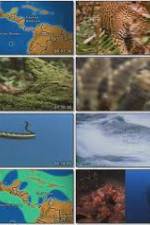 Watch National Geographic: Worlds Deadliest Animals - North America M4ufreemovies