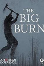Watch American Experience: The Big Burn M4ufreemovies