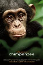 Watch Chimpanzee M4ufreemovies