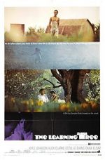 Watch The Learning Tree M4ufreemovies