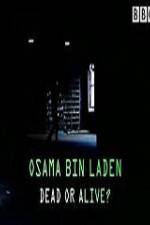 Watch The Final Report Osama bin Laden Dead or Alive M4ufreemovies