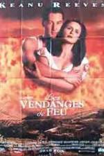 Watch A Walk in the Clouds M4ufreemovies