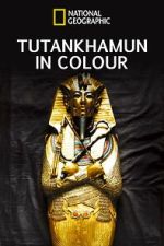Watch King Tut in Color M4ufreemovies