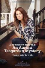 Watch A Bundle of Trouble: An Aurora Teagarden Mystery M4ufreemovies