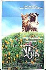 Watch Milo and Otis M4ufreemovies