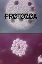 Watch Protozoa M4ufreemovies