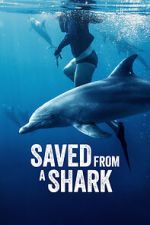 Watch Saved from a Shark M4ufreemovies