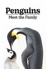 Watch Penguins: Meet the Family M4ufreemovies