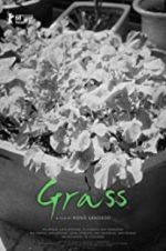Watch Grass M4ufreemovies