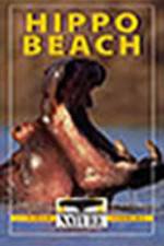 Watch PBS Nature - Hippo Beach M4ufreemovies