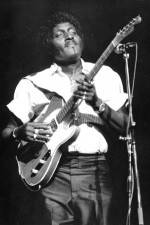 Watch Albert Collins in Concert M4ufreemovies
