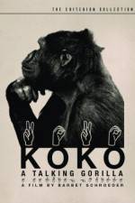 Watch Koko, le gorille qui parle M4ufreemovies