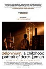 Watch Delphinium: A Childhood Portrait of Derek Jarman M4ufreemovies