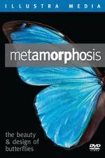 Watch Metamorphosis: The Beauty and Design of Butterflies M4ufreemovies