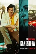 Watch How I Fell in Love with a Gangster M4ufreemovies