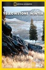 Watch National Geographic Yellowstone Winter M4ufreemovies