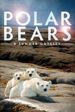 Watch Polar Bears: A Summer Odyssey M4ufreemovies