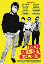 Watch I Was a Teenage Sex Pistol M4ufreemovies