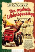 Watch The Taming of the Scoundrel M4ufreemovies