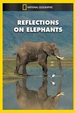 Watch Reflections on Elephants M4ufreemovies