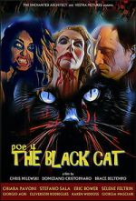 Watch POE 4: The Black Cat M4ufreemovies