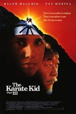 Watch The Karate Kid Part III M4ufreemovies